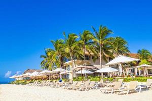 palme ombrelloni sedie a sdraio beach resort playa del carmen messico.