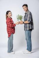 uomini e donne in piedi e tenendo vasi di piante in casa foto