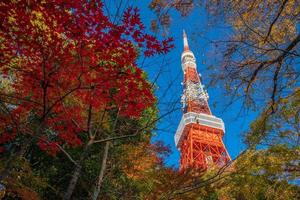 torre di tokyo con cielo blu in giappone foto