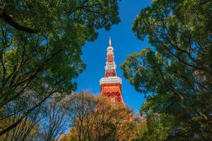 torre di tokyo con cielo blu in giappone foto
