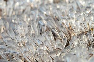 sfondo naturale con cristalli di ghiaccio sulle piante dopo una pioggia ghiacciata. foto