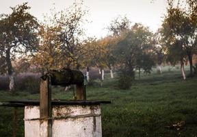 fonte d'acqua nel villaggio foto