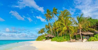 spiaggia dell'isola delle maldive. paesaggio tropicale di paesaggi estivi, sabbia bianca con palme. destinazione di vacanza di viaggio di lusso. paesaggio esotico della spiaggia. natura straordinaria, relax, libertà modello di natura foto