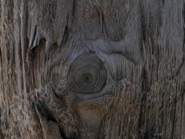 bellissimo sfondo in legno naturale foto