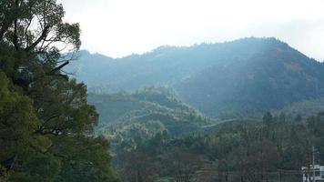 la bellissima vista sulle montagne con la foresta verde e il campo di fiori nella campagna della Cina meridionale foto