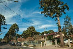 Gramado, brasile - 21 luglio 2019. case e alberi con giardino sulla strada asfaltata vuota con auto parcheggiate in una giornata di sole a gramado. una graziosa cittadina di influenza europea molto ricercata dai turisti. foto