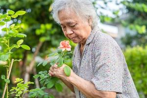 Asian senior o anziana signora anziana con fiore di rosa arancione rosato nel giardino soleggiato.
