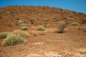 paesaggio secco in damaraland. giornata di sole, niente persone. namibia foto