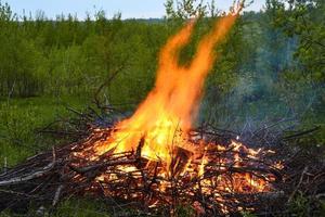 falò. un falò sta bruciando nella foresta. fiamma di fuoco. foto