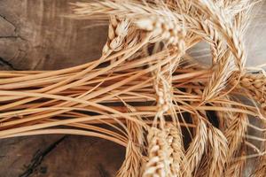 spighe di grano su fondo in legno foto