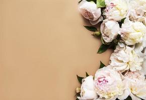 fiori di peonia rosa come un bordo foto