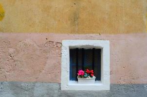 fiore dai petali rosa vicino alla finestra di giorno foto