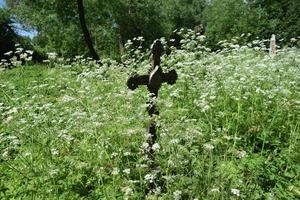 una tomba abbandonata solitaria nel vecchio cimitero foto