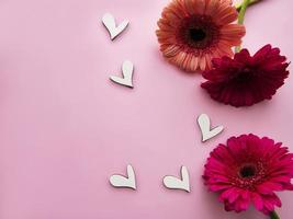 fiori di gerbera su uno sfondo rosa pastello foto