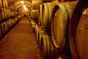 botti di vino in volte in ordine. bottiglia di vino e botti foto