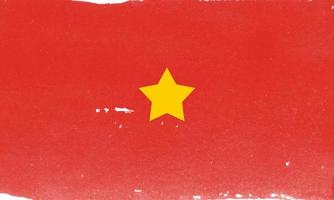 bandiera del vietnam con effetto pennello foto