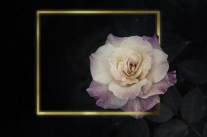 fiori di rosa nel design di toni scuri naturali. cornice dorata foto