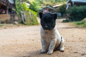 visitando ban huai haeng ban huay hom school, chiang rai, ciclo di mae hong son, mae sariang, nord della thailandia foto