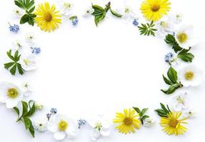 cornice piatta con fiori primaverili, foglie e petali foto