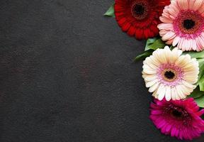 fiori di gerbera luminosi su sfondo nero foto