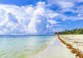 spiaggia messicana tropicale panorama playa 88 playa del carmen messico. foto