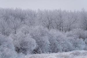 scena invernale manitoba foto