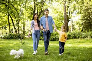 famiglia felice con simpatico cane bichon nel parco foto