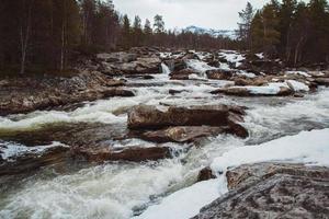 paesaggio del fiume di montagna che scorre tra rocce e foreste. posto per testo o pubblicità foto