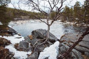 paesaggio del fiume di montagna che scorre tra rocce e foreste. posto per testo o pubblicità foto