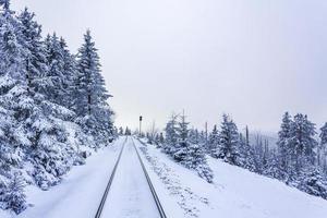 Ferrovia Brocken e nevicato nel paesaggio di alberi Brocken Harz Germania foto