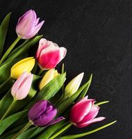 fiori di tulipani primaverili foto