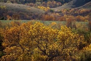 scena autunnale canada foto