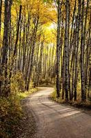 autunno del saskatchewan settentrionale foto