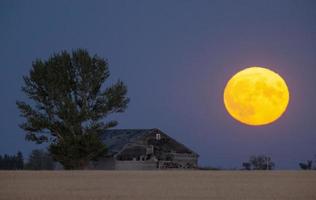 luna piena della prateria foto