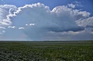 tempesta della prateria canada foto