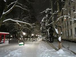 parco invernale di notte alberi nel vicolo della neve con lanterne foto