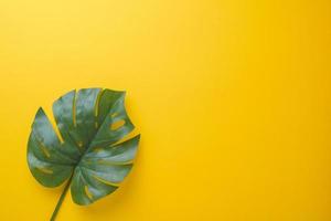 foglie di palma tropicali su sfondo giallo con spazio di copia