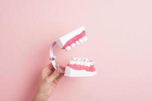 primo piano della mano della donna tiene i denti artificiali del modello per la dimostrazione della pulizia dentale foto