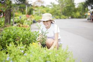 bella donna con pianta da giardinaggio in giardino foto