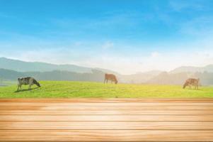 piano del tavolo in legno su sfondo sfocato della fattoria, mucche sulla montagna verde con cielo blu. foto