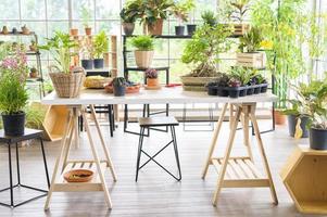 una vista del giardino interno nella casa moderna, nel giardinaggio domestico e nel concetto di hobby. foto