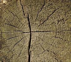 struttura di legno marrone sfondo foto