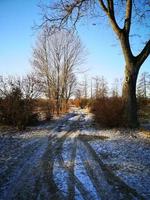 strada rurale invernale. alberi senza foglie ai margini della strada. poca neve sulla strada. novembre o dicembre. cielo blu foto