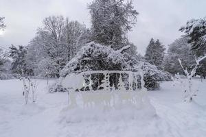 corone di alberi innevate nel giardino botanico invernale, minsk foto