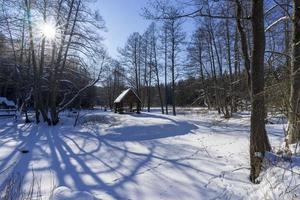 foresta invernale in bielorussia, sentiero ecologico laghi blu foto