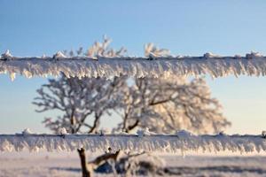 gelo invernale saskatchewan foto