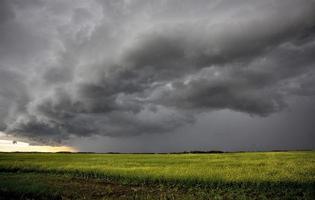 prateria nuvole temporalesche canada foto