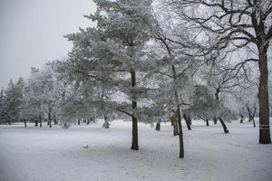 gelo invernale saskatchewan foto