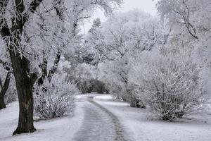 gelo invernale saskatchewan foto