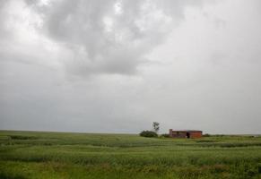 prateria nuvole temporalesche canada foto